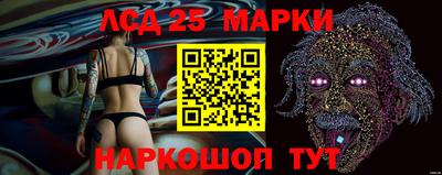 тгк Можга