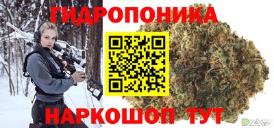 тгк Можга
