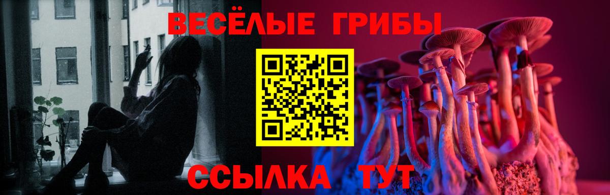 Галлюциногенные грибы Magic Shrooms  купить наркотики цена  Вход с VPN  Черняховск  Галлюциногенные грибы MAGIC MUSHROOMS 